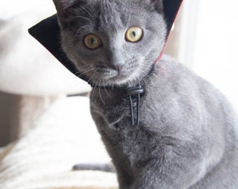 Dracula Collar Cat Costume - Halloween Costume - Pet Costume Dog - Cat Collar -  Cat Collar - Cat Costume -Reversible Collar