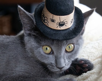 Pet Halloween Hat - Scary Spiders Cat Hat - Halloween Dog Hat - Virtual gatherings costume