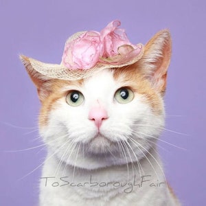 Cat Hat - Elegant Mini Hat - Spring Cat Hat - Spring Bonnet - Cat Bonnet- Kentucky Derby