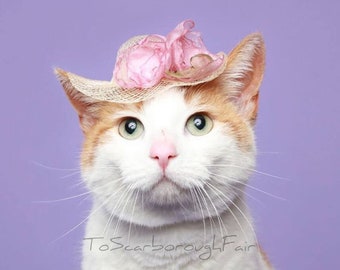 Cat Hat - Elegant Mini Hat - Spring Cat Hat - Spring Bonnet - Cat Bonnet- Kentucky Derby