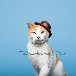 Fedora Cat Hat Father's Day Hat Indiana Jones Pet Hat Hand Felted Wool Hat Hipster Hat for Pets Watchman Gentleman Hat image 2