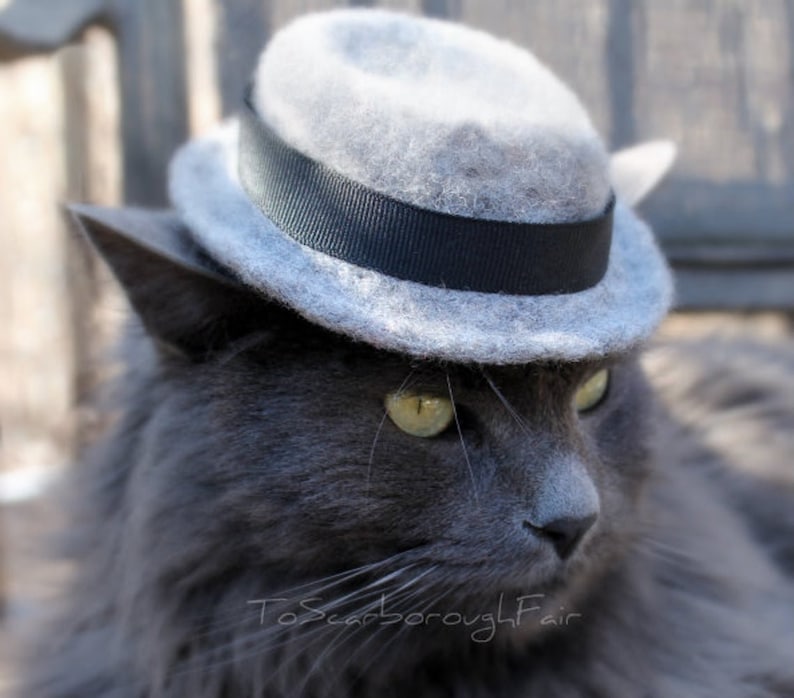 Fedora Cat Hat Father's Day Hat Indiana Jones Pet Hat Hand Felted Wool Hat Hipster Hat for Pets Watchman Gentleman Hat image 5