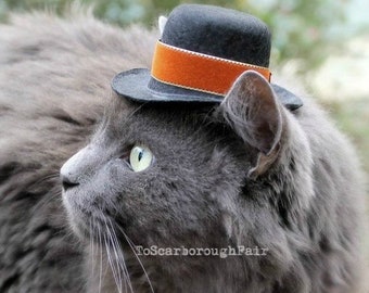 Autumn Cat Hat Thanksgiving Cat Hat - Spiced Pumpkin - Spiced Pumpkin - Father's Day Cat (Dog) Hat -  Festive Mini Hat