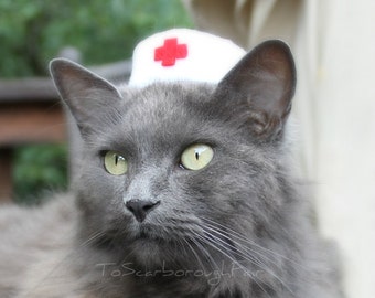 Nurse Kitty Cat Hat - Vintage Style Pet Nurse - Pet Halloween Costume - Cat Photo Prop - Guinea Pig Hat - Bearded Dragon Hat - Ferret Hat