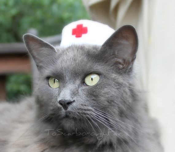 Cat hot sale nurse costume