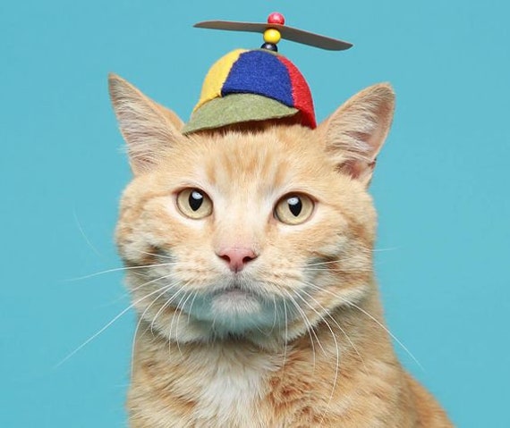 Buy Original Design-cat Hat-propeller Hat-pet Costume SF Fandom