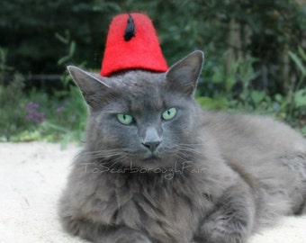 Cat Fez - Aladdin Fez for Cats or Dogs - Fez for Dog - Cat Doctor Who Fez - Aladdin Felted Fez - Photo Prop - Costumes for Cats