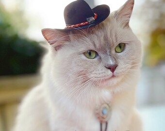 Cat Bolo Tie - Pet Western Cowboy Tie - Father's Day - Western Bolo Cat Tie - Pet Shoestring Necktie - Pet Bolo Tie