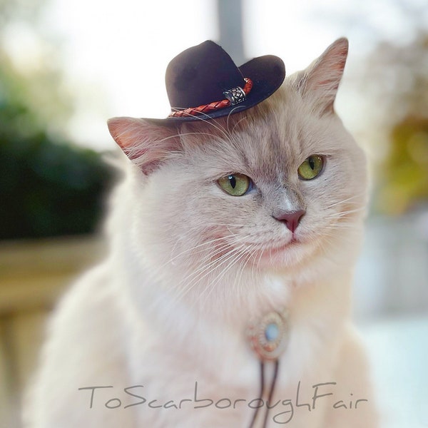 Cat Bolo Tie - Pet Western Cowboy Tie - Father's Day - Western Bolo Cat Tie - Pet Shoestring Necktie - Pet Bolo Tie