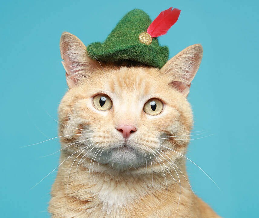 Cat Robin Hood Hat Peter Pan Hat 