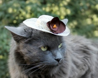 Cat Hat - Autumn Hat for Cat - French Roast - Sinamay Pet Hat - Cat Bonnet - Small Sun Hat - Animal Photo Prop - Cat Costume