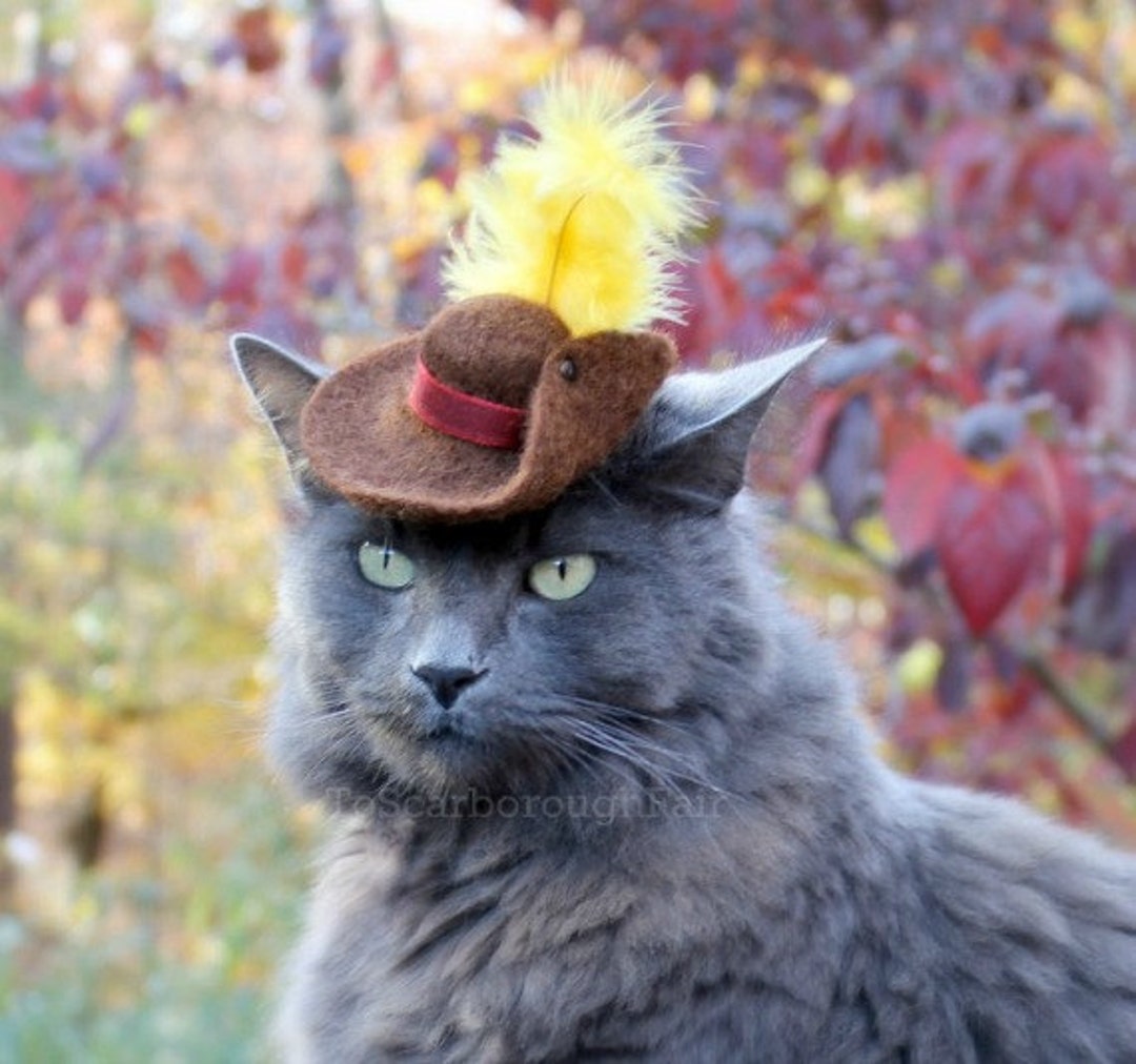 Puss in Boots Pet Hat Wool Hand Felted Cat Costume - Etsy