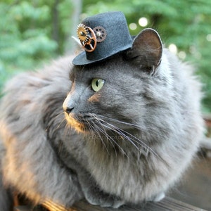 Cat Hat Steampunk Inspired Hat for Cat-Mini Steampunk Hat Voyager Through Time Hat Cat Halloween Costume-Fashion Doll Hat Cat Photo Prop image 3