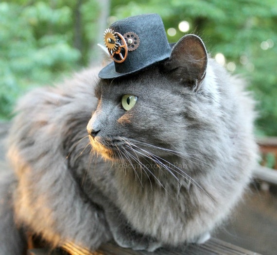 Sombrero unisex de la parte superior del oído del gato de Steampunk Sombrero de fiesta de Halloween 