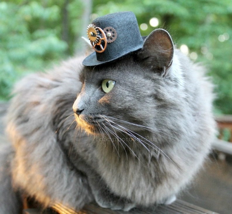 Cat Hat Steampunk Inspired Hat for Cat-Mini Steampunk Hat Voyager Through Time Hat Cat Halloween Costume-Fashion Doll Hat Cat Photo Prop image 3