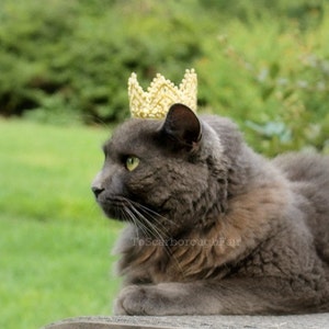 Cat Crown-Pet Crown-Original design-Princess Crown for Cat-Game of Thrones Inspired-Dog Crown The White Queen-Cat Puppy Crown-Cat King Crown image 5