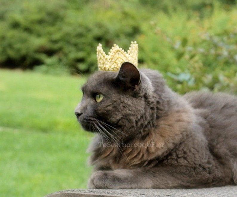 Cat Crown-Pet Crown-Original design-Princess Crown for Cat-Game of Thrones Inspired-Dog Crown The White Queen-Cat Puppy Crown-Cat King Crown image 5