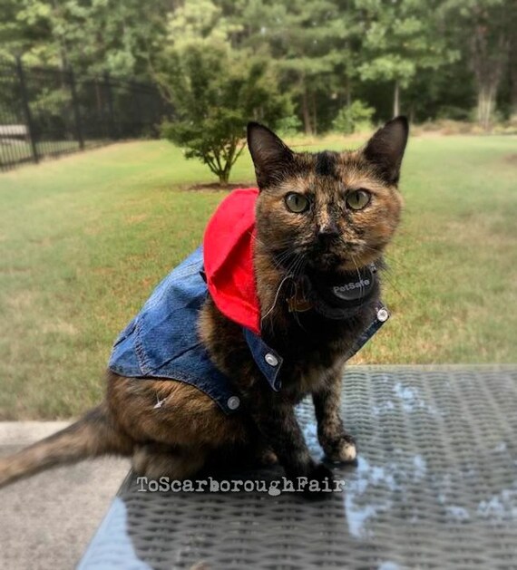 denim jacket for cats