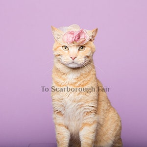 Cat Hat Elegant Mini Hat Spring Cat Hat Spring Bonnet Cat Bonnet Kentucky Derby image 2