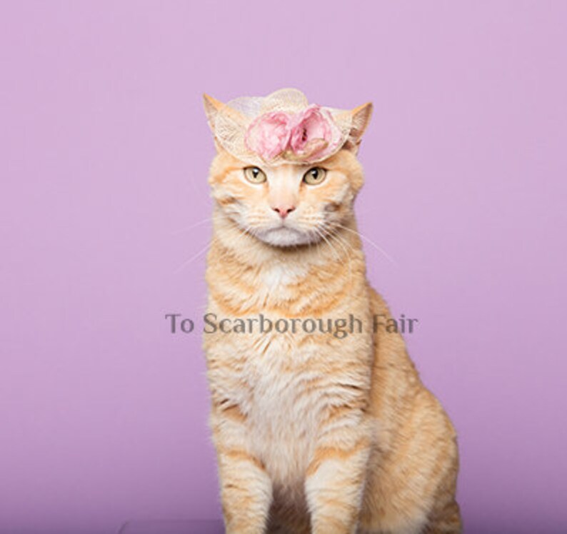 Cat Hat Elegant Mini Hat Spring Cat Hat Spring Bonnet Cat Bonnet Kentucky Derby image 2