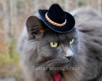 Walker, Texas Ranger Cowboy Cat Hat - Father's Day Hat - The Brick Cowboy Cat Ferret, Guinea Pig Small Dog Hat with Studded Suede Band