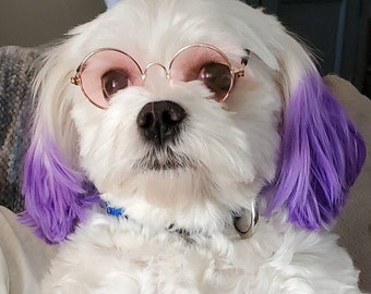 Sunglasses for Pets - Photography prop - Cat Halloween Costume - Sun Shades for Cats - Glasses for Cats - Glasses for Dogs