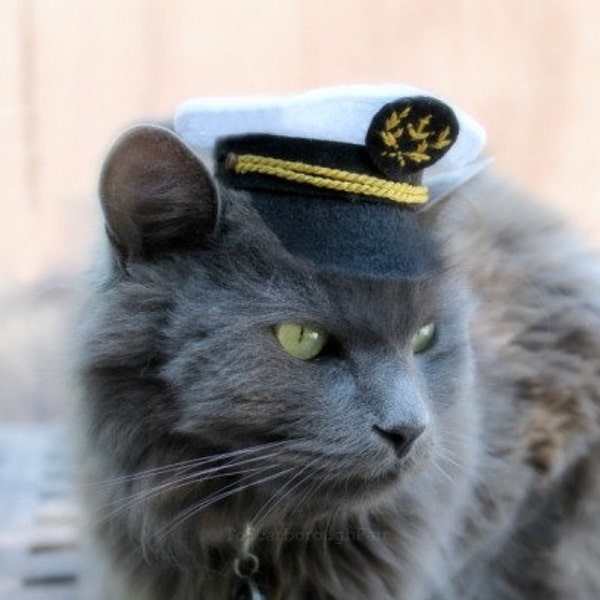 Marine Captain Mini Hat - Cat Captain Hat - Original Design - Pet Costume - Pet Captain Hat - Pet Photo Prop - Mini Hat