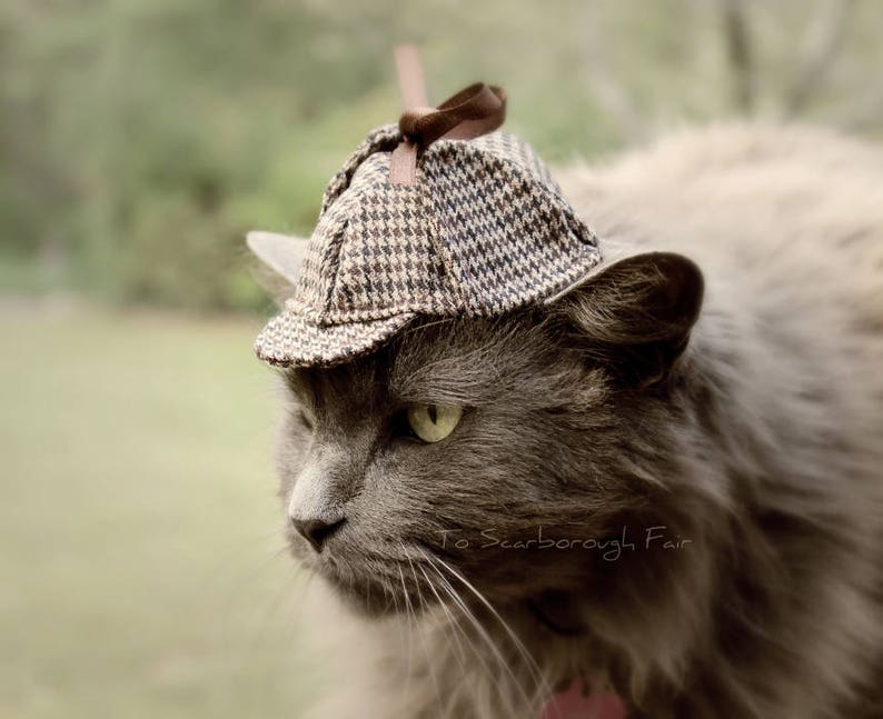 The Sherlock Cat Hat | Stay At Home Mum The Sherlock Cat Hat | Stay at Home Mum