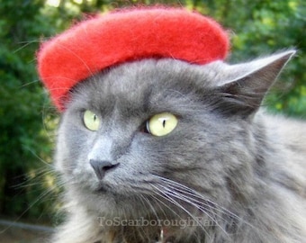 Bridesmaids Original Petite Beret - Pet Beret - French Chic Pet Beret Hand Felted out of Wool - Ruby Red - Petite Beret - Pet Lover Gift
