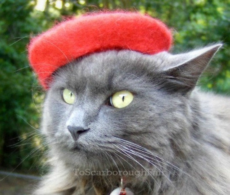 Cat Beret Bridesmaids Original Petite Beret Pet Beret-French Chic Pet Beret Hand Felted out of Wool-Ruby Red-Petite Beret-Pet Lover Gift image 2