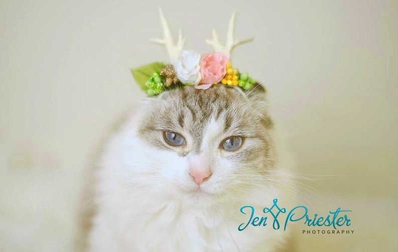 Ready to Ship Pet Antlers Floral Crown with Antlers Antlers Crown for Pets Pet Floral Crown Christmas Antlers image 1