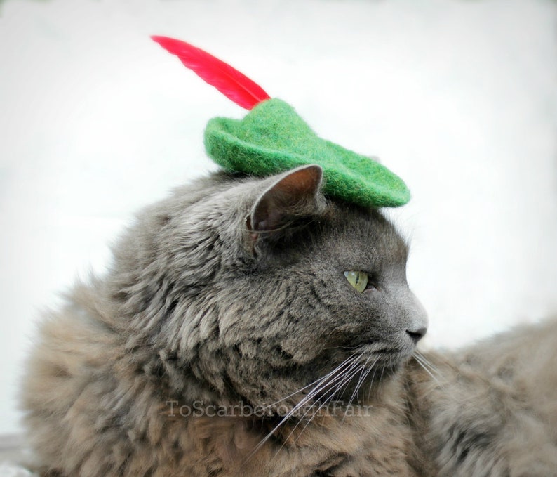 Original Design Cat Robin Hood Hat Peter Pan Hat Hand Felted Wool Hat Cat Halloween Costume Pet Halloween Costume Cat Photo Prop image 4