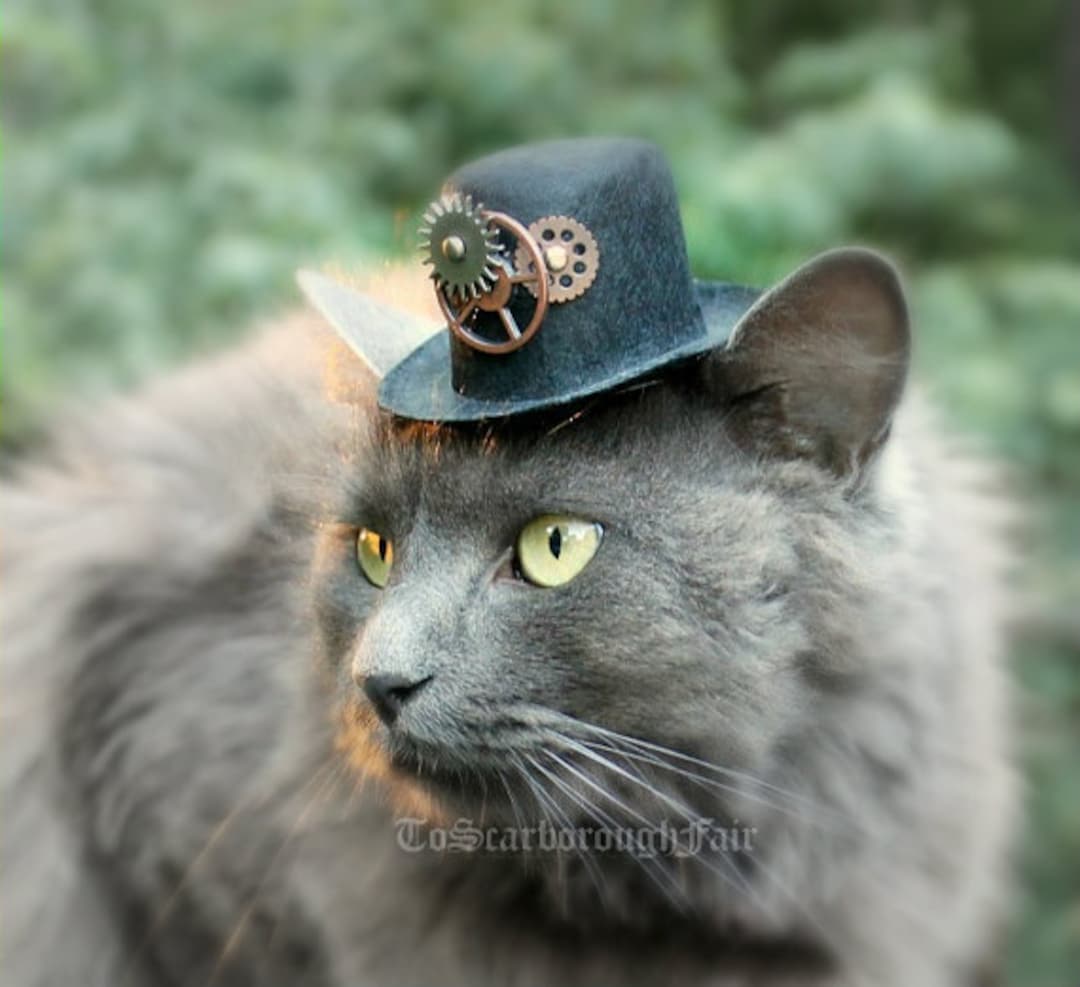 Cat Hat Steampunk Inspired hat for Cat-mini Steampunk Hat - Etsy Sweden