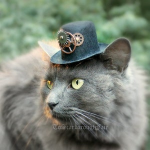 Cat Hat Steampunk Inspired Hat for Cat-Mini Steampunk Hat Voyager Through Time Hat Cat Halloween Costume-Fashion Doll Hat Cat Photo Prop image 1