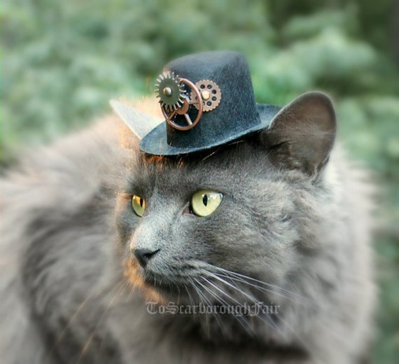 Cat Hat Steampunk Inspired Hat for Cat-Mini Steampunk Hat Voyager Through Time Hat Cat Halloween Costume-Fashion Doll Hat Cat Photo Prop image 1