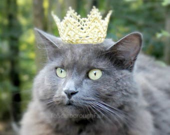 Game of Thrones Inspired Cat Crown - Dog Crown The White Queen - Princess Crown for Cat - Cat Puppy Crown - Cat King Crown -