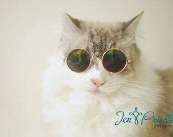 Sunglasses for Pets - Photography prop - Cat Halloween Costume - Sun Shades for Cats - Glasses for Cats - Glasses for Dogs