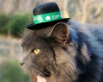 Saint Patrick's Day Cat Hat - Pet hat for St Patrick's Day - Kiss Me I'm Irish