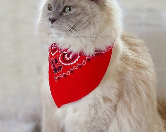 Cat Bandanna - Pet Western Bandanna- Pet Bandanna