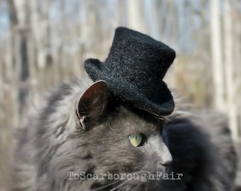 Sir Purrington - Father's Day Cat Top Hat Cat -Caroler Hat Wedding Hat Aristocrat Hat-Squire Top Hat-Topper Cat Hat Cylinder Hat, Stove Pipe