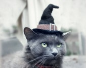 Halloween Costume for Cat -  Cat Costume - Cat Witch Hat - Hissy Witch -Pet Halloween Costume - Cat Photo Prop - OOAK cat hat