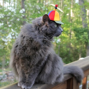 Katzen-Propellerhut - Haustierkostüm, Fotorequisite