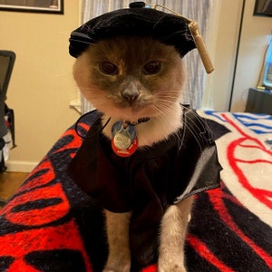 Cat Dog Graduation Cap Tudor Bonnet - Doctoral Pet Cap - Graduation Cap voor huisdieren met metallic gouden kwastje - Phd Cat Graduation
