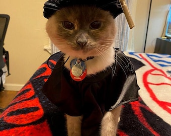 Casquette de remise des diplômes pour chat Tudor Bonnet - Casquette de doctorat pour animaux de compagnie - Casquette de remise de diplômes pour animaux de compagnie avec pompon en or métallique - PhD Cat