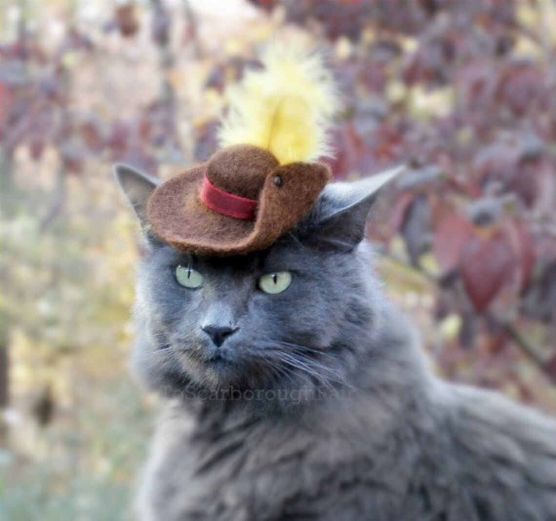 Puss in Boots Pet Hat Wool Hand Felted Cat Costume Etsy