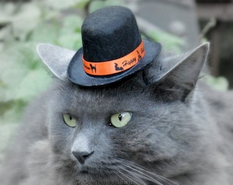 Pet Top Hat with Orange Ribbon - Halloween Cat Costume