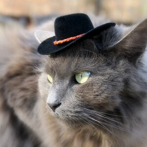 Black Cowboy Cat Hat with Genuine Leather Cord Mini Cowboy Hat Fathers' Day Cowboy Hat Buckaroo Style Guinea Pig Ferret Hamster image 2