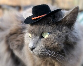 Black Cowboy Cat Hat with Genuine Leather Cord - Mini Cowboy Hat - Fathers' Day Cowboy Hat - Buckaroo Style- Guinea Pig - Ferret - Hamster