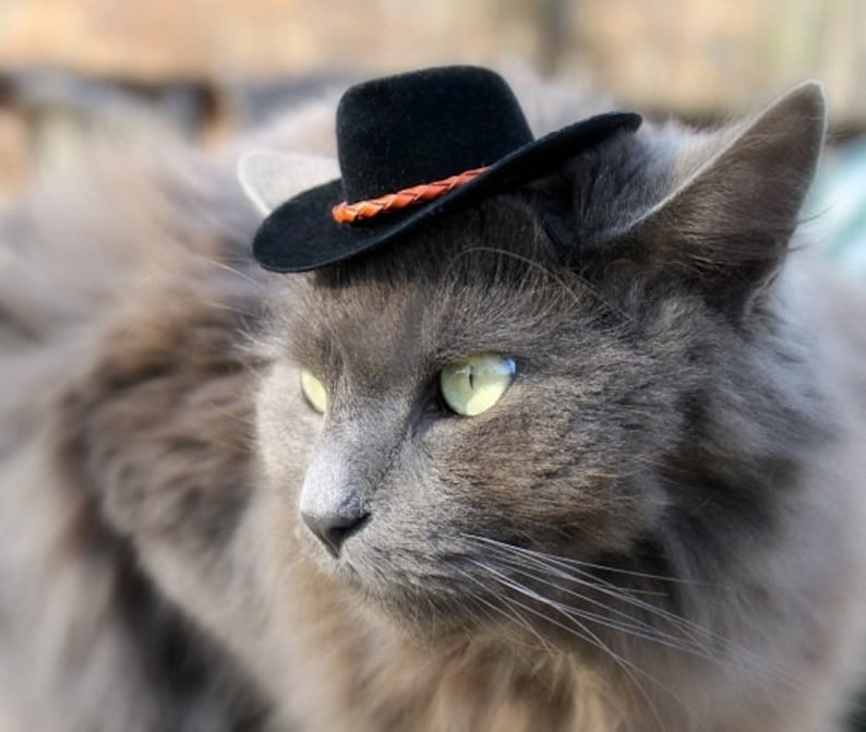 Black Cowboy Cat Hat with Genuine Leather Cord Mini Cowboy Hat Fathers' Day Cowboy Hat Buckaroo Style Guinea Pig Ferret Hamster image 2