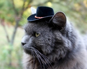 Black Cowboy Cat Hat with Genuine Leather Cord - Mini Cowboy Hat - Fathers' Day Cowboy Hat - Buckaroo Style- Guinea Pig - Ferret - Hamster